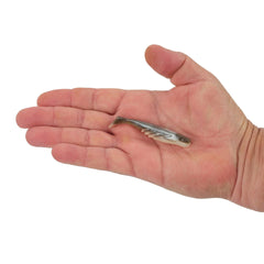 Gulp! Saltwater Ripple Mullet