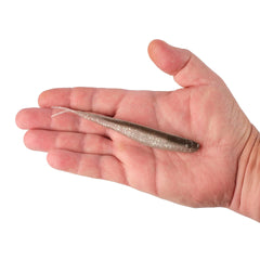 Lab Series™ Minnow