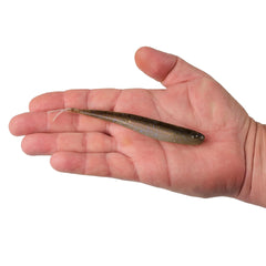 Lab Series™ Minnow
