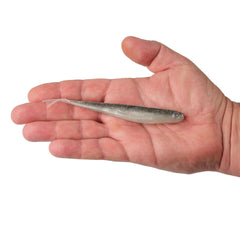 Lab Series™ Minnow