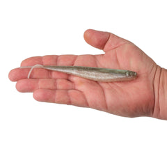 Lab Series™ Minnow