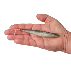 Lab Series™ Minnow