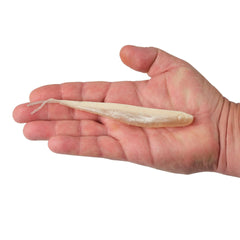 Lab Series™ Minnow