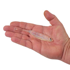 PowerBait® Drip Minnow