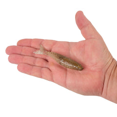 PowerBait Saltwater PowerStinger
