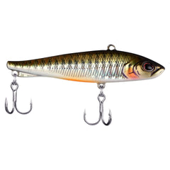 Ripfish