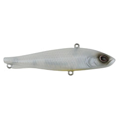 Ripfish