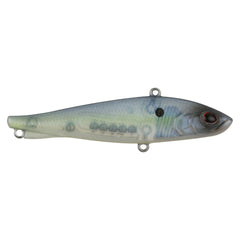 Ripfish
