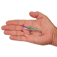Ripfish