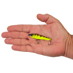 Ripfish