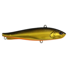 Ripfish