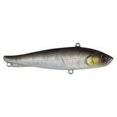 Ripfish