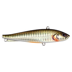 Ripfish