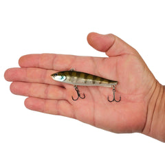 Ripfish