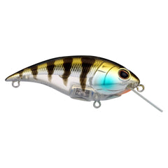 Shallow Money Badger