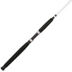 Big Game™ Spinning Rod