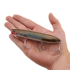 Cane Walker Saltwater