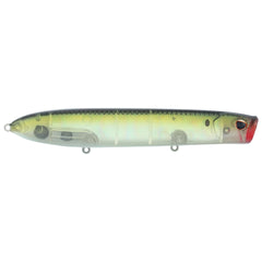 Cane Walker Saltwater