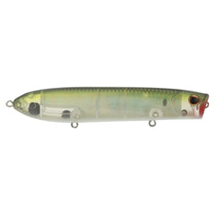 Cane Walker Saltwater