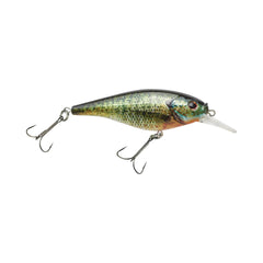 Flicker Shad Shallow
