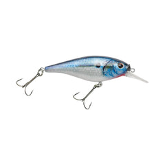 Flicker Shad Shallow