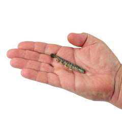Gulp!® Saltwater Turbo Shrimp