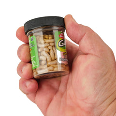 Gulp! Alive! Maggots