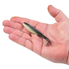 Gulp! Alive! Paddleshad