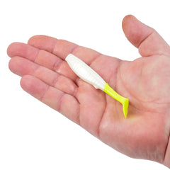 Gulp! Alive! Paddleshad