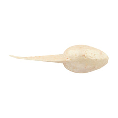Gulp! Alive!® Tadpole