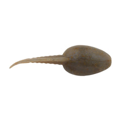 Gulp! Alive! Tadpole