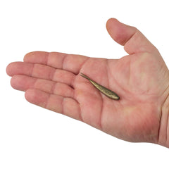 Gulp!® Minnow