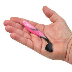 Gulp! Paddleshad
