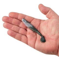 Gulp! Paddleshad