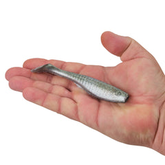 Gulp! Paddleshad