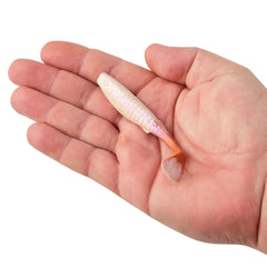 Gulp! Paddleshad