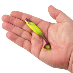 Gulp! Paddleshad