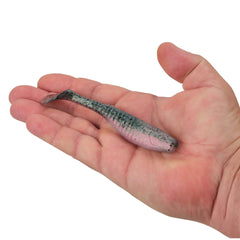 Gulp! Paddleshad