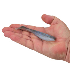 Gulp! Paddleshad