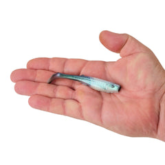 Gulp! Saltwater Paddleshad