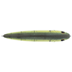 J-Walker 120 Saltwater
