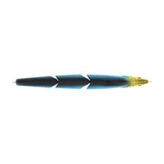 Magic Swimmer® Saltwater