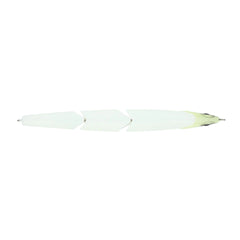 Magic Swimmer® Saltwater
