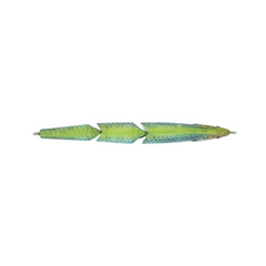 Magic Swimmer® Saltwater