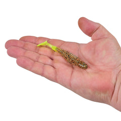 PowerBait Bonefish