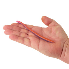 PowerBait Bottom Hopper