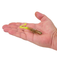 PowerBait Curly Bones