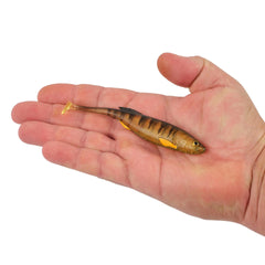 PowerBait Drip Swimmer
