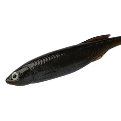 PowerBait® Drip Swimmer