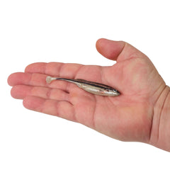 PowerBait Drip Swimmer